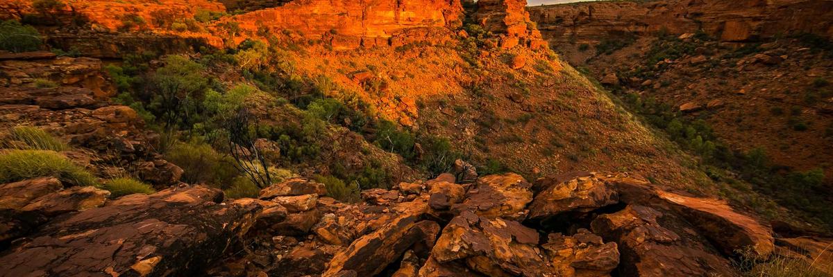 Man confidently standing at the beach with a clean, groomed back
